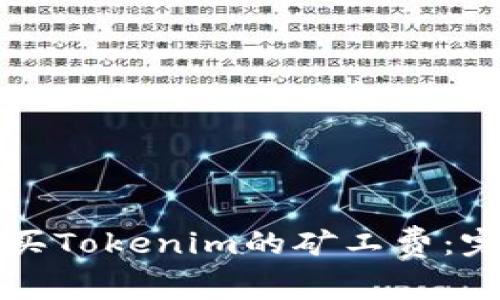 如何购买Tokenim的矿工费：完整指南