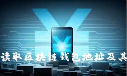 如何有效读取区块链钱包地址及其相关信息