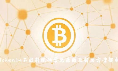 Tokenim不能转账的常见原因及解决方案解析