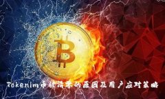 Tokenim币被清零的原因及用