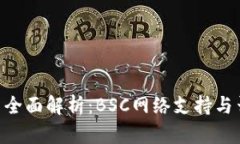 Tokenim项目全面解析：BSC网