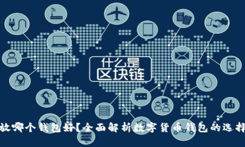 数字资产放哪个钱包好？全面解析数字货币钱包的选择与安全性