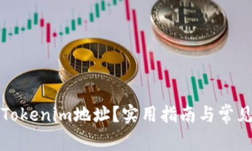 如何隐藏Tokenim地址？实用指南与常见问题解答