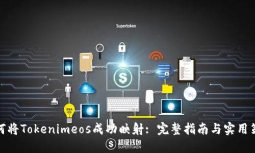 如何将Tokenimeos成功映射: 完整指南与实用策略