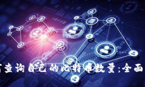 如何查询自己的比特币数量：全面指南