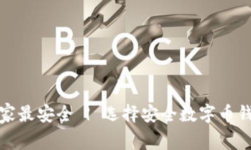 数字币钱包哪家最安全 | 选择安全数字币钱包的全面指南