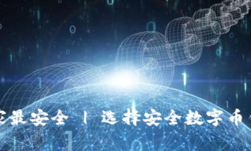 数字币钱包哪家最安全 | 选择安全数字币钱包的全面指南
