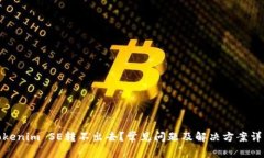Tokenim SE转不出去？常见问题及解决方案详解