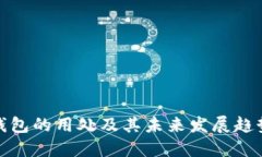 数字钱包的用处及其未来