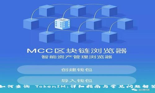 如何查询 TokenIM：详细指南与常见问题解答
