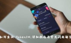 如何查询 TokenIM：详细指南与常见问题解答