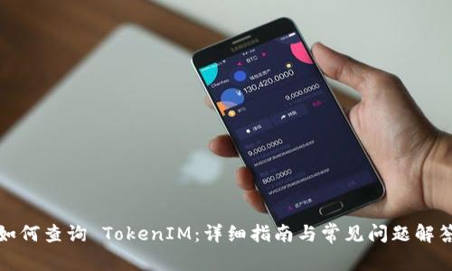 如何查询 TokenIM：详细指南与常见问题解答