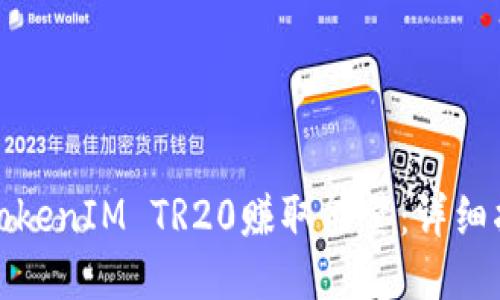 如何通过TokenIM TR20赚取能量：详细指南与技巧