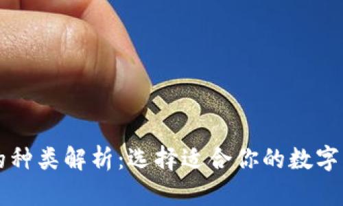 区块链钱包的种类解析：选择适合你的数字资产管理工具