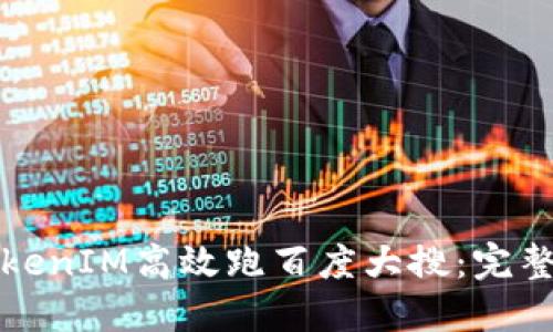 如何利用TokenIM高效跑百度大搜：完整指南与技巧