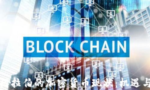 
沙特阿拉伯的加密货币现状：机遇与挑战