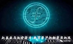 赵泰来与加密货币：数字