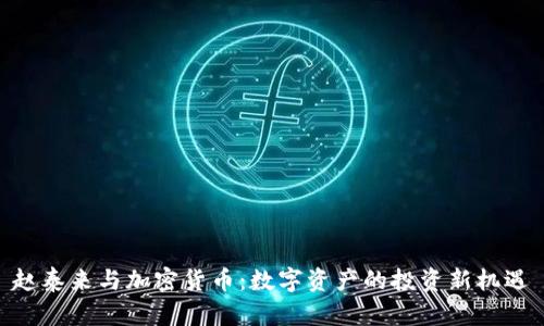 赵泰来与加密货币：数字资产的投资新机遇