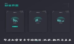 印度加密货币市场概述：